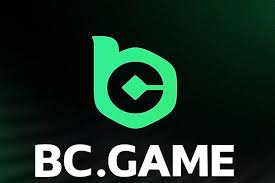 BC Game vs Stake A Comprehensive Comparison of Online Casinos 1029451268