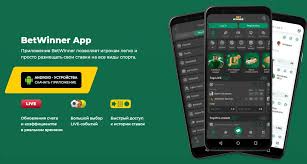 BetWinner Aviator Dive Into the Exciting World of Online Gaming